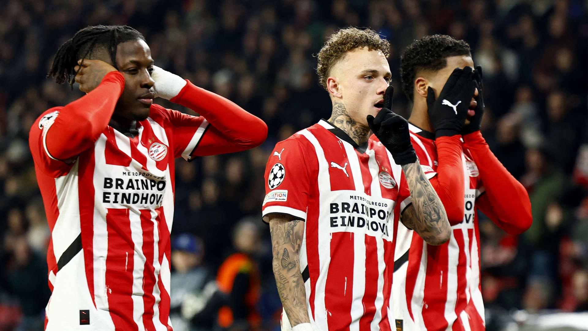 了一个激动 了一个激动